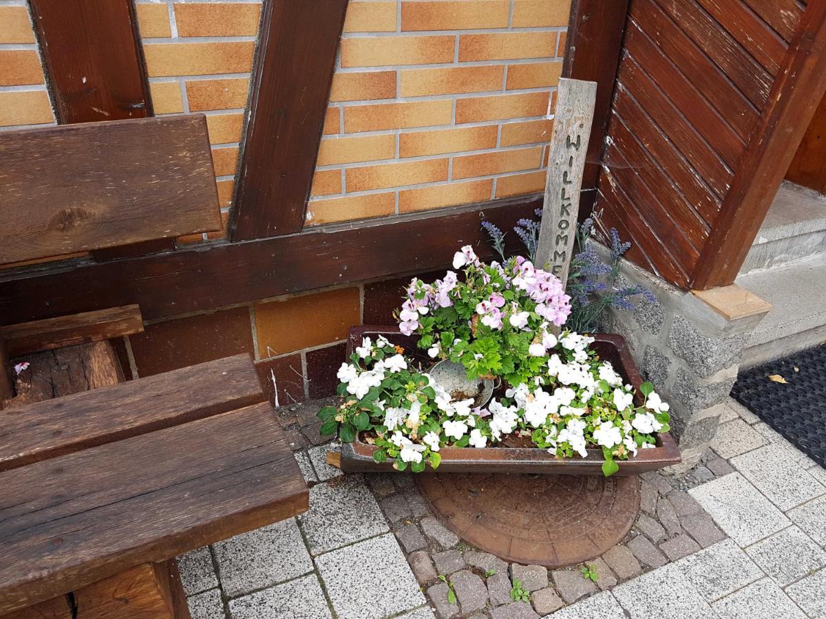Ferienwohnung Am Kurpark Hasselfelde Esterno foto